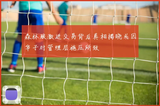森林狼激进交易背后真相揭晓或因华子对管理层施压所致