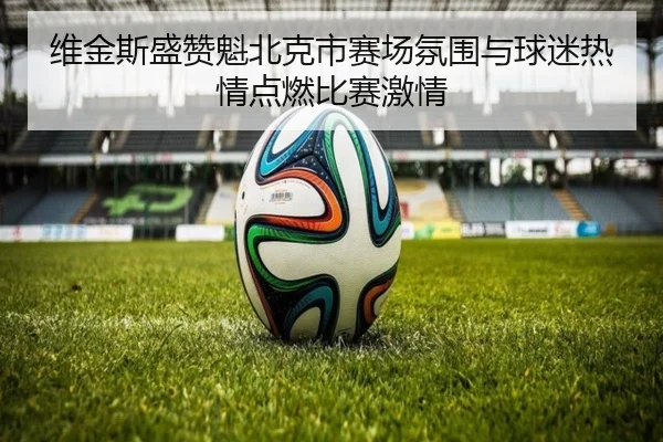 维金斯盛赞魁北克市赛场氛围与球迷热情点燃比赛激情